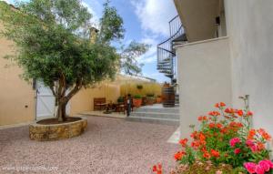 un patio con un árbol en el medio de un edificio en Idéal logement Cargese 4 en Cargèse