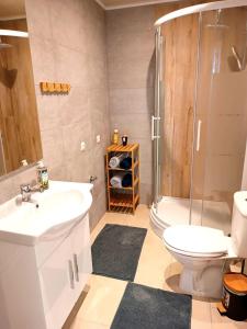 een badkamer met een wastafel, een toilet en een douche bij Gasthaus Tauchen with kitchen in Mönichkirchen