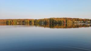 Blick auf einen See mit Bäumen im Hintergrund in der Unterkunft Bonnie View Inn in Haliburton