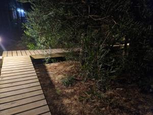 una pasarela de madera junto a un arbusto por la noche en La Maison De Valerie 2 en Punta del Diablo