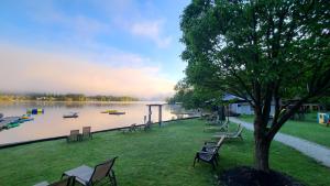 een park met stoelen en een boom naast een meer bij Bonnie View Inn in Haliburton