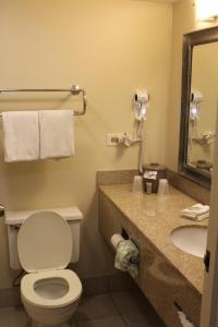 a bathroom with a toilet and a sink and a mirror at Red Roof Inn Gurnee - Waukegan in Waukegan