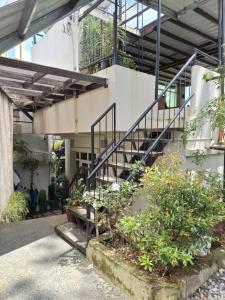 una escalera en un edificio con algunas plantas en Haven Haus with Mountain View, en Baguio