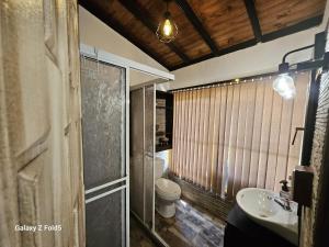 ein Bad mit einem WC, einem Waschbecken und einer Dusche in der Unterkunft Las Cabañitas in Pereira