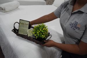 a person holding a basket of flowers on a bed at Villa Las Flores in San Salvador
