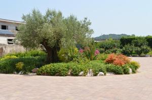 Ogród w obiekcie Agriturismo Ca' Del Gal