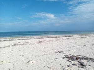 a sandy beach with the ocean in the background at Amani House in Kilifi