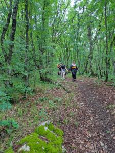 Gestir sem dvelja á Camping Eagle Canyon