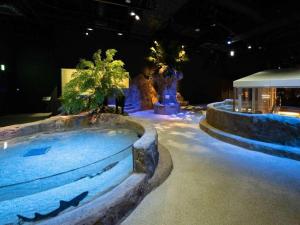 uma exposição com uma piscina num museu em HOTEL StoRK Naha Shintoshin - Vacation STAY 27632v em Naha