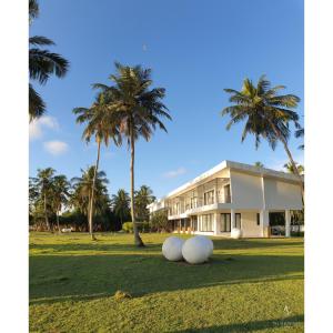 Green Turtle Villa by The Serendipity Collection في بينتوتا: ثلاث كرات بيضاء كبيرة على العشب أمام المبنى