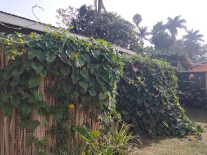 Fotografie z fotogalerie ubytování Gaia Eco Hub BnB v destinaci Fort Portal