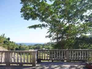 una panca di legno seduta di fronte a un albero di Roatan’s green view getaway. a Roatán