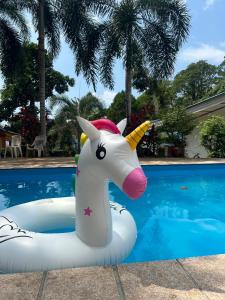 a inflatable unicorn float in front of a pool at cher lonely beach resort Koh chang in Ko Chang