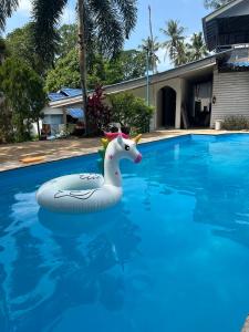 a unicorn float in a swimming pool at cher lonely beach resort Koh chang in Ko Chang