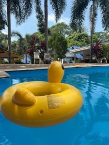 a yellow rubber duck floating in a swimming pool at cher lonely beach resort Koh chang in Ko Chang
