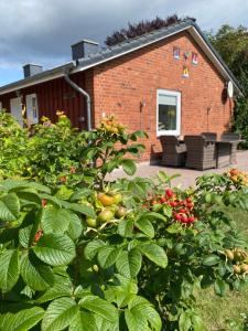 a brick house with a bunch of plants in front of it at Ferienhaus Lillehus in Fehmarn