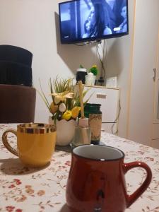 Televiisor ja/või meelelahutuskeskus majutusasutuses Mace MM :)