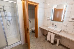 a bathroom with a sink and a shower and a toilet at Leonfeldner-Hof in Bad Leonfelden