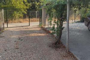 una cerca con un árbol junto a una pista de tenis en Urla Private House Near Mozaik Winery and Wine House Urla, en Urla