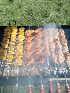 un grupo de carnes y pollos cocinando en una parrilla en Sadyba u Vani, en Volovets