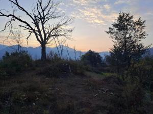 Landskap semula jadi dekat dengan homestay