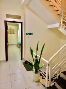 Foto dalla galleria di Gold's House a Da Thanh