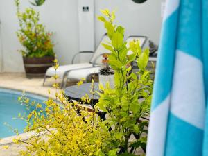 Afbeelding uit fotogalerij van Villa da Graca - Selfcatering or B&B in Mosselbaai