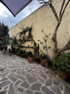 budynek z roślinami po jego stronie w obiekcie Casa Assunta w mieście Donoratico