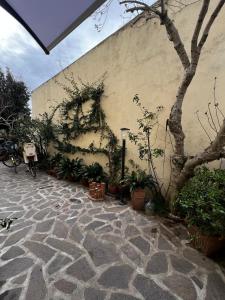 Un edificio con plantas a los lados. en Casa Assunta, en Donoratico