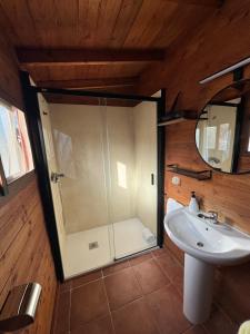 a bathroom with a shower and a sink and a mirror at Cabañas Cortijo el Helao in Pozo Alcón
