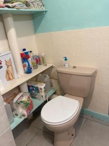 a bathroom with a toilet and a cat on shelves at chez françoise in La Roche-des-Arnauds