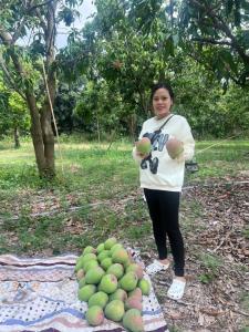a woman standing next to a pile of green apples at Motel An Bình in Dien Khanh