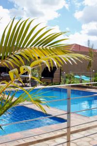 eine Palme neben einem Pool in der Unterkunft Milestone Hotels in Lusaka