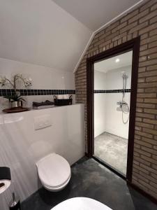 uma casa de banho com um WC branco e um chuveiro em De Middelste Dam 