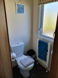 a bathroom with a white toilet and a window at Holiday Escapes in Selsey