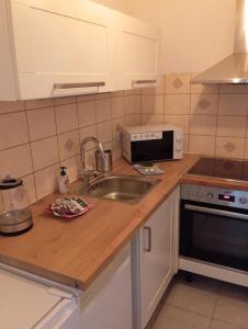 a kitchen counter with a sink and a microwave at Apartment 10 minutes to city centre in Vienna
