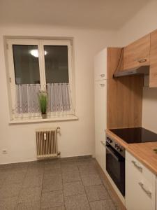 een keuken met een raam, een wastafel en een fornuis bij Apartment near Downtown in Wenen