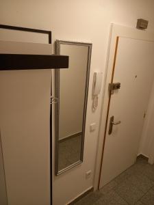 een badkamerdeur met een spiegel aan de muur bij Apartment near Downtown in Wenen