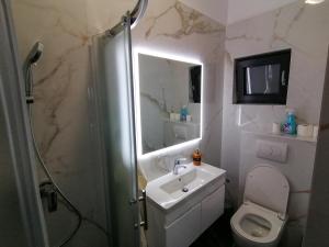 a bathroom with a shower and a sink and a toilet at Vila DoLaNi in Klek +51 photos