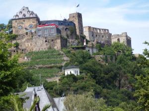 a castle on top of a hill with houses at Ferienwohnung Georg in Boppard