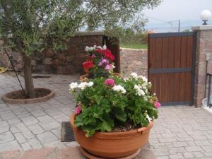 Κήπος έξω από το Meltemi Apartments