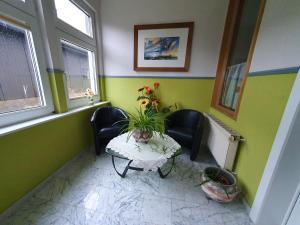una habitación con 3 sillas y una mesa con una planta en Ferienwohnung Wilde Bergwiese, en Benneckenstein