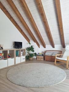 a living room with a large rug on the floor at Altxabi Apartamento Rural in Ochagavía