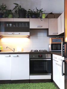 a kitchen with a stove and a microwave at Útulný pokoj pro 1 osobu ve sdíleném bytě se ženou in Prague
