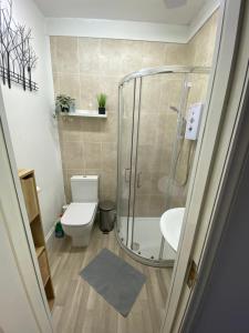a bathroom with a shower and a toilet and a sink at Kingfisher En-suite Room in Plymouth