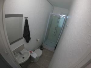 e bagno con doccia, servizi igienici e lavandino. di 40m² totalement rénovés belle vue dégagée (102) a Villeneuve-Saint-Georges