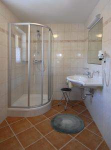 ein Bad mit einer Dusche und einem Waschbecken in der Unterkunft Haarlehenhof in Großarl