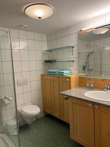 La salle de bains est pourvue de toilettes, d'un lavabo et d'un miroir. dans l'établissement Walserklause Ferienwohnung, à Raggal