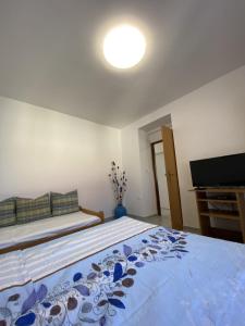 Postel nebo postele na pokoji v ubytování Apartmani Radosav