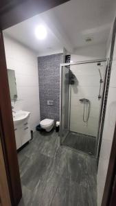 a bathroom with a shower and a toilet and a sink at Arkadia Wypoczynek i Odstresowanie in Jarosławiec